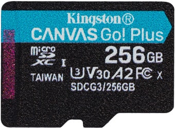   Kingston Canvas Go! Plus microSDXC 256GB