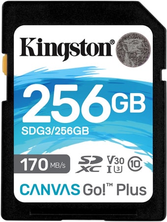   Kingston Canvas Go! Plus SDXC 256GB