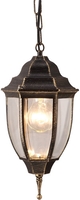 Уличный фонарь Arte Lamp Pegasus A3151SO-1BN - фото
