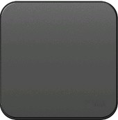 Выключатель проходной Schneider Electric Blanca BLNVA106016 - фото