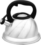 Чайник Lara LR00-55 - фото