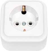 Розетка Bylectrica Пралеска РА16-254 - фото