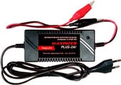 Зарядное устройство MaxInter PLUS-2AI - фото