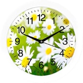 Настенные часы Energy EC-98 (ромашки) - фото