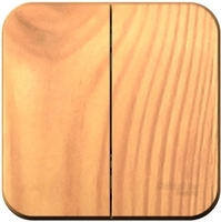 Выключатель Schneider Electric Blanca BLNVA105015 - фото