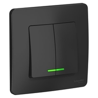 Выключатель Schneider Electric BLNVS010516 - фото