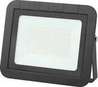 Прожектор ЭРА LPR-061-0-65K-050 Б0043591 - фото