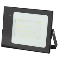 Прожектор ЭРА LPR-041-1-65K-050 - фото