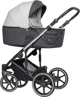 Универсальная коляска Expander Exeo (2 в 1, 01 silver) - фото