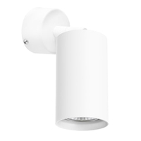 Спот Lightstar Rullo RB436 - фото