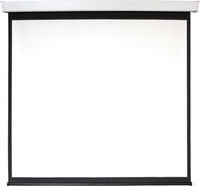 Проекционный экран Digis Electra-F 219x222 DSEF-1107 - фото