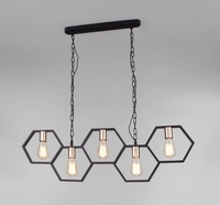 Подвесная люстра Евросвет Arnia 70117/5 (черный) - фото