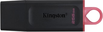 USB Flash Kingston Exodia 256GB - фото