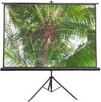 Проекционный экран Future Vision Tripod 200x200 T200SMW - фото