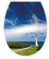 Сиденье для унитаза Bisk Iris Foto 04152 (пляж) - фото