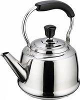 Чайник без свистка Beka Claudette 12028454 - фото