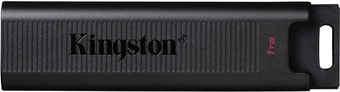 USB Flash Kingston DataTraveler Max 1TB - фото