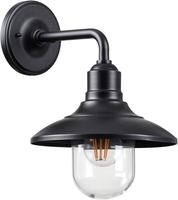 Уличный настенный светильник Odeon Light Campa 4965/1W - фото