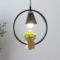 Подвесная люстра Home Light Астерия A042-2-В - фото