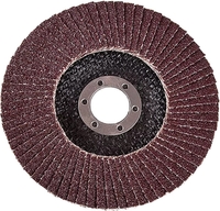 Набор шлифкругов БаЗ КЛТ2 A00003326 (5 шт) - фото