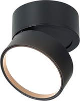 Припотолочная люстра ST Luce ST651.432.14 - фото