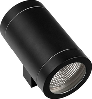 Уличный настенный светильник Lightstar Paro 351617 - фото