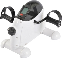 Велотренажер Sundays Fitness GB-5002E - фото