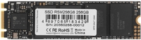SSD AMD Radeon R5 256GB R5M256G8 - фото