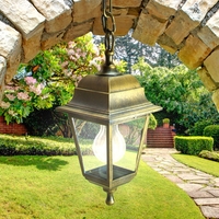 Уличный подвесной светильник ЭРА НСУ 04-60-001 Б0048106 - фото