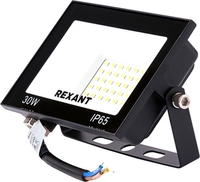 Уличный прожектор Rexant 605-032 - фото