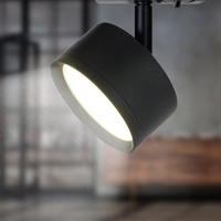 Трековый светильник ЭРА TR48-GX53 BK Б0054159 - фото