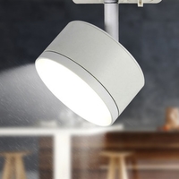 Трековый светильник ЭРА TR48-GX53 WH Б0054158 - фото