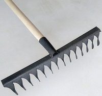 Грабли зубчатые Ямполь 3.448 - фото