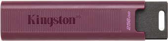 USB Flash Kingston DataTraveler Max Type-A 256GB - фото