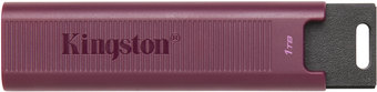USB Flash Kingston DataTraveler Max Type-A 1TB - фото