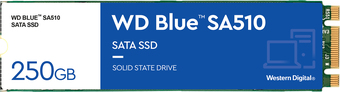 SSD WD Blue 250GB WDS250G3B0B - фото