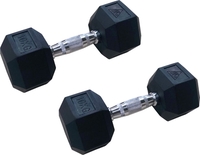 Набор гантелей DFC DB001-10 2x10 кг - фото