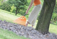 Грабли веерные Prosperplast Expert alu IGR3A-R585 (оранжевый) - фото