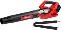 Ручная воздуходувка Wortex BB 2536 D ALL1 0333234 - фото