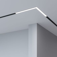 Линейный светильник Elektrostandard 85031/01 (черный) - фото