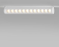 Трековый светильник Elektrostandard 85049/01 (белый) - фото