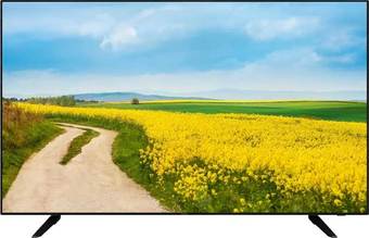 Телевизор GoldStar LT-43F800 - фото