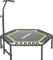 Батут Sundays Favorite 48" (с ручкой, зеленый) - фото