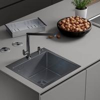 Кухонная мойка Roxen Simple 560220-50B - фото