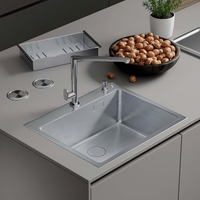 Кухонная мойка Roxen Simple 560220-55 - фото