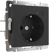 Розетка Werkel W1171608 a056422 - фото