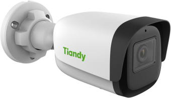 IP-камера Tiandy TC-C38WS I5/E/Y/M/2.8mm/V4.0 - фото