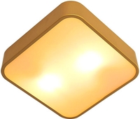 Припотолочная люстра Arte Lamp Cosmopolitan A7210PL-2GO - фото