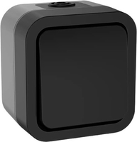 Выключатель IEK Tors TS-V10-0-10-55-K53 - фото