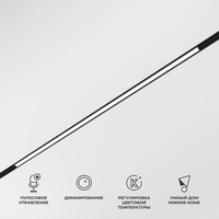 Трековый светильник Elektrostandard Dim L02 85077/01 (черный) - фото